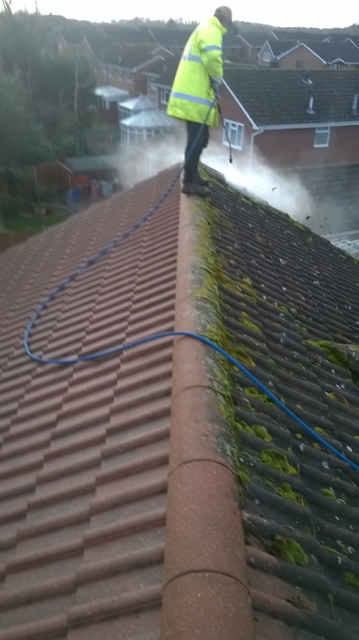 Roof Moss Removal Worcester