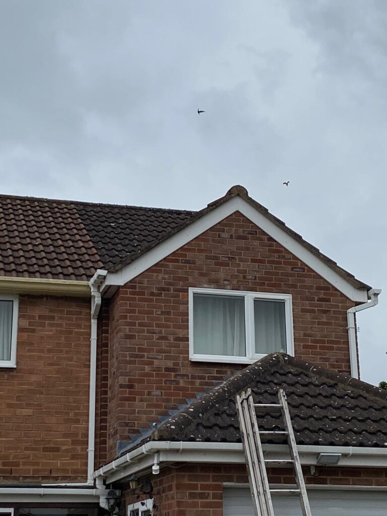 Roof Moss Removal Dudley